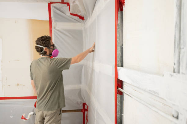 Best Asbestos and Lead Testing During Mold Inspection  in Toronto, OH
