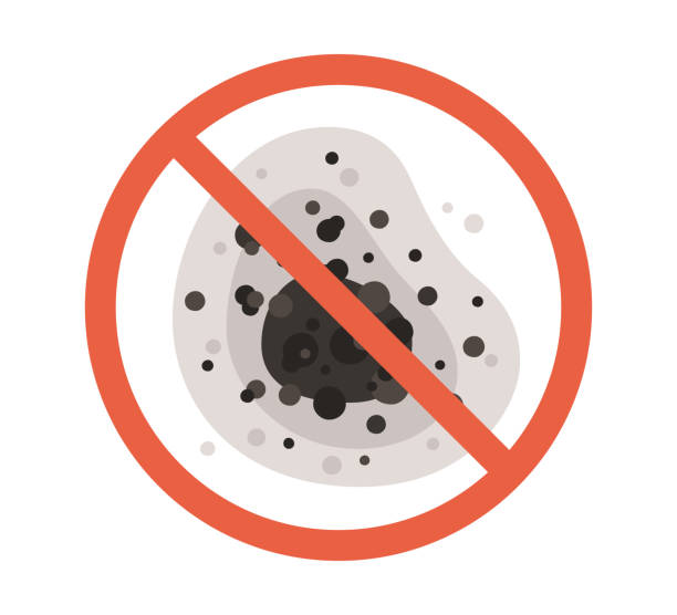 Forensic Mold Investigation in Toronto, OH
