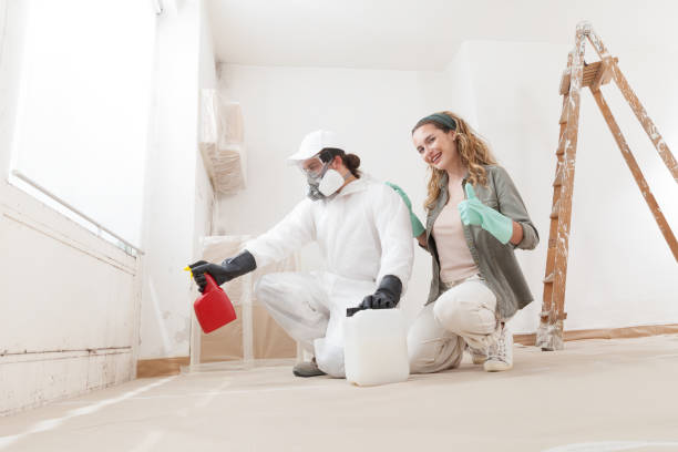 Best Post-Construction Mold Inspection  in Toronto, OH