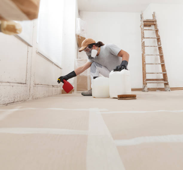 Best Forensic Mold Investigation  in Toronto, OH